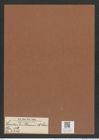 Cerataulus ? thumii A. Schm. (de-Toni-Nr.: Genus 173, Species 4446) Zeichnungen Sammlung Grunow Mappe 04376 (Herbarium_W_Grunow_drawings_Folder_04376)